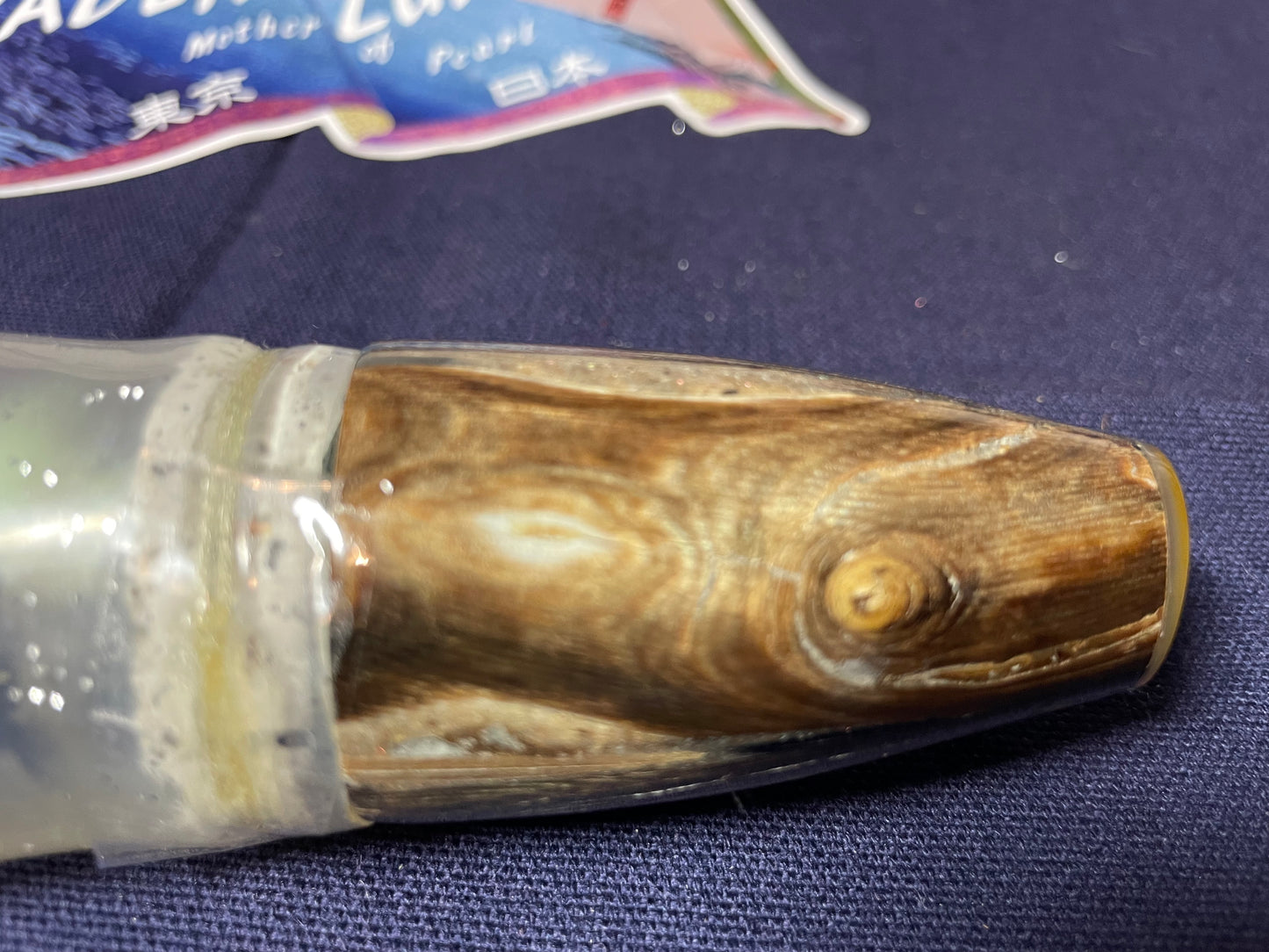 Japanese Raden Lure. Big Game Lure,Tuna ,15 " Rainbow Coral Squid
